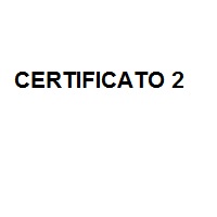 Rotolo 320 etichette LW 990150 - 54 x 70 mm - carta - multiuso - bianco - Dymo Foto prodotto Photo 03 L